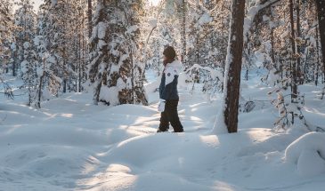 Hiking in Rovaniemi Lapland Vikaköngäs