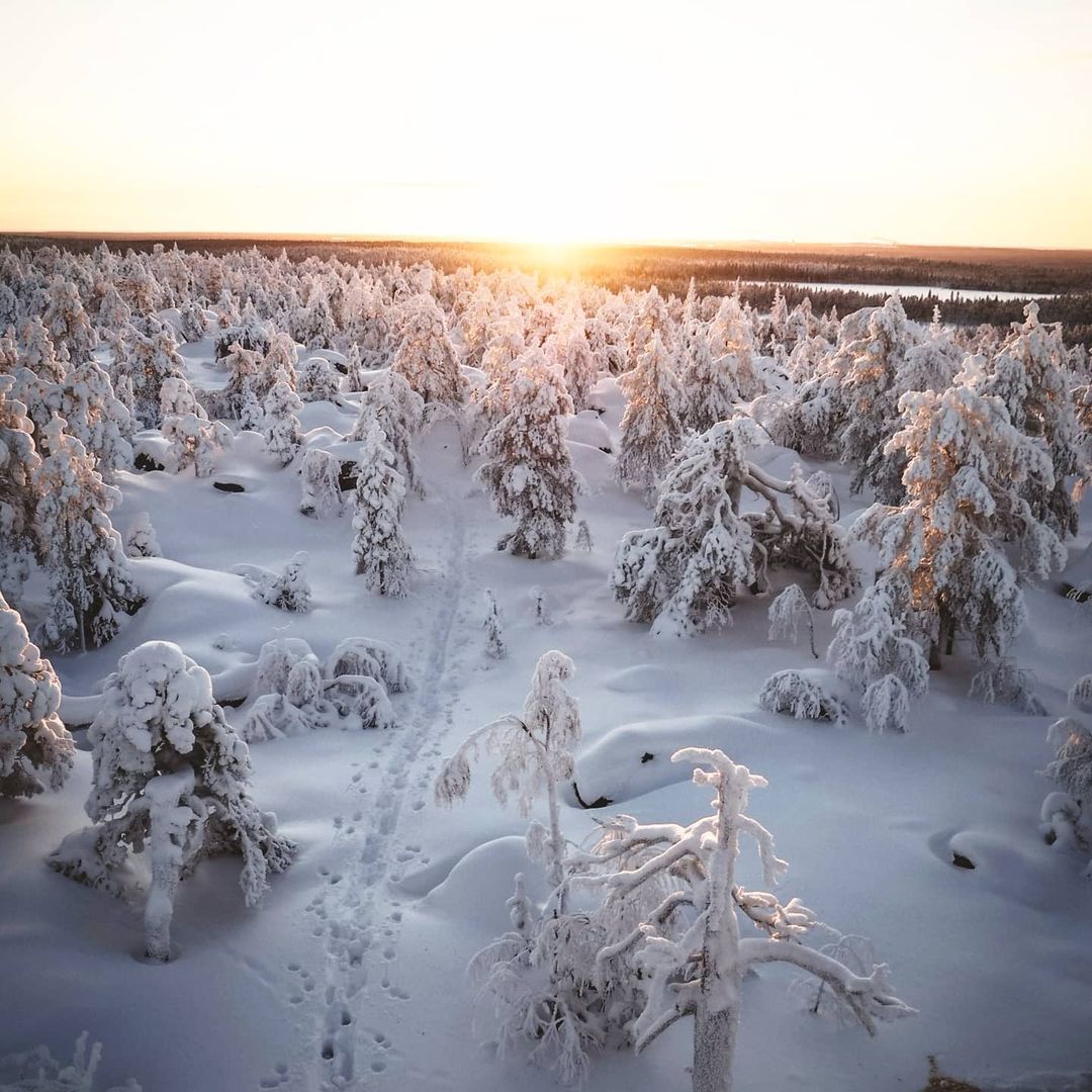 Martimoaapa Simo Hiking in Lapland By Annica Koivisto