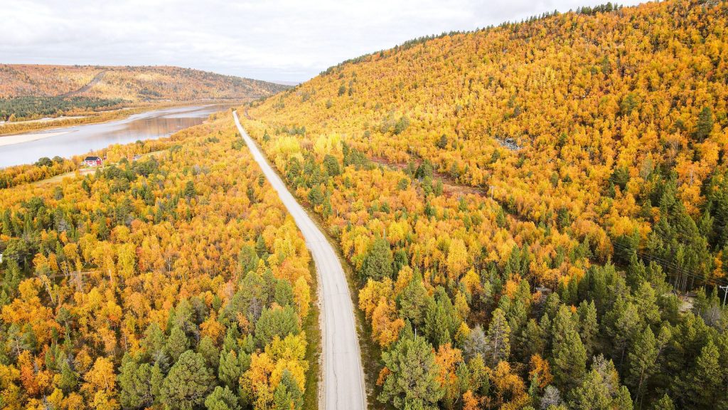 Autumn colors in Finnish Lapland