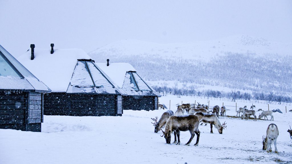 Arctic-Land-adventure-Kilpisjarvi-glass-igloo-accomodation-Lapland-picture-by-Lorenzo-Mirandola