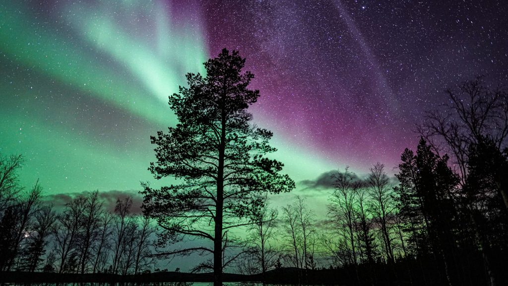 Northern-Lights-in-Pallas-nationalpark-first-snow-winter-is-coming-in-Lapland-Photo-Luisa-Schaffner