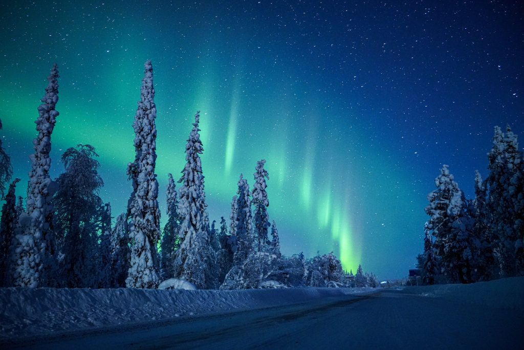 Northern lights in winter