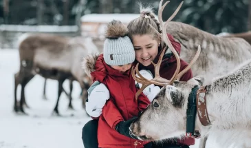 reindeer farm visit Kujala porotila kuusamo