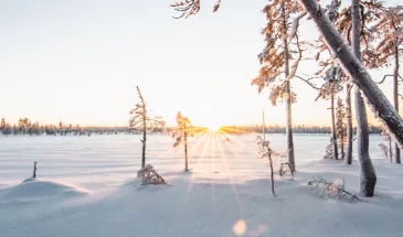 winter wilderness cabin experience rovaniemi Lapland Johka