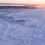 January Sunrise in Finnish Lapland- Picture by Jasim Sarker- Visit Lapland